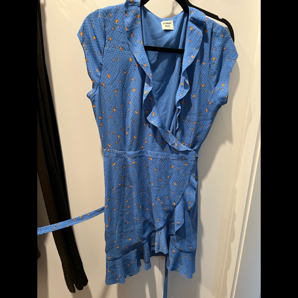 Aritzia Dress